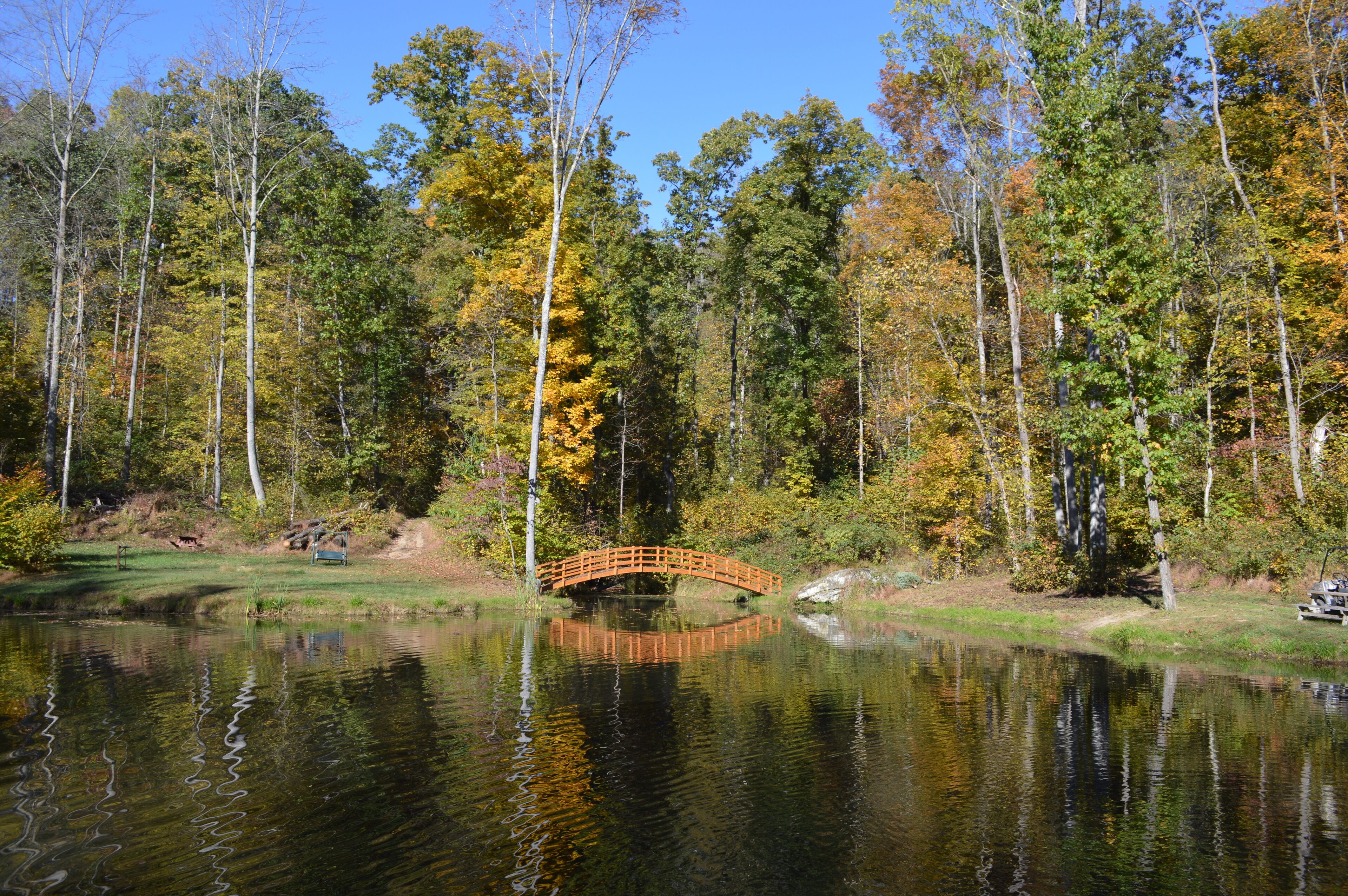 Eine Holzbrücke über einem stillen Teich, umgeben von Bäumen mit Herbstlaub.