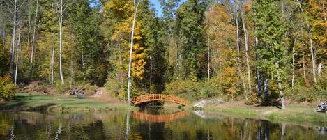 Eine Holzbrücke über einem stillen Teich, umgeben von Bäumen mit Herbstlaub.