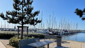 Un port de plaisance avec des bateaux amarrés, des bancs et un arbre.