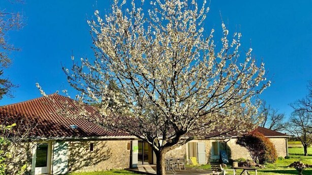 Een huis met een gevel van natuursteen, een pannendak en een verzorgd gazon.