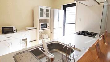 Fridge, microwave, stovetop, electric kettle