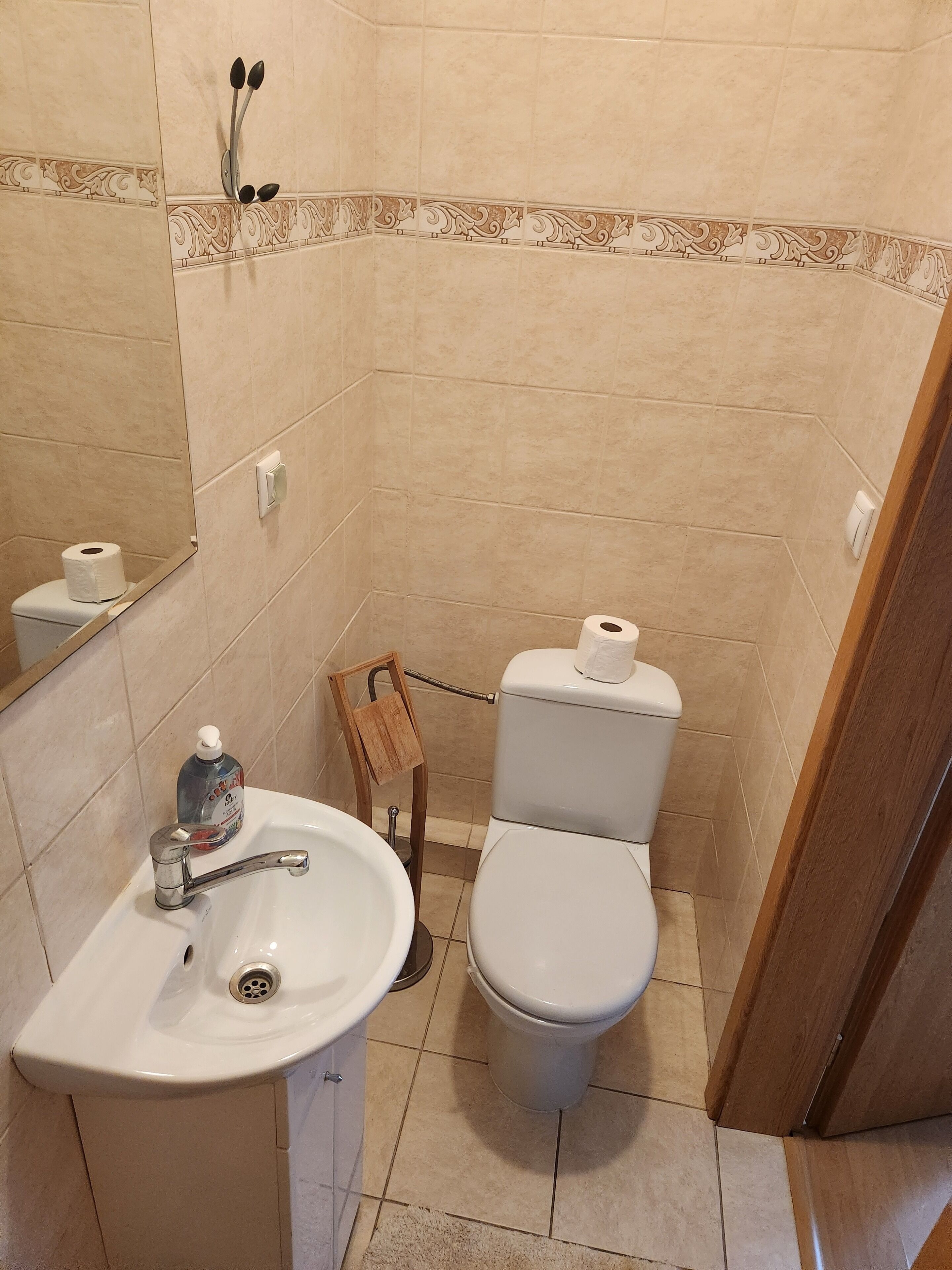 Shower, soap, shampoo, toilet paper