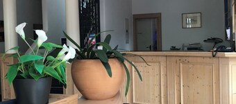 Bed and Breakfast Bulligan