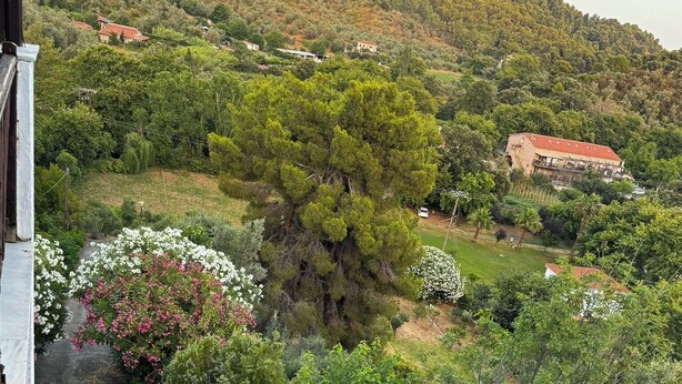 A hillside view with a pathway leading to a building with a red roof. - Eagle Nest Skiathos (Skiathos)