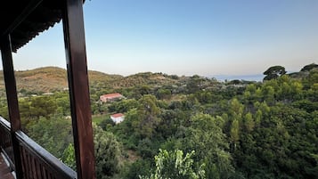 Vista da propriedade