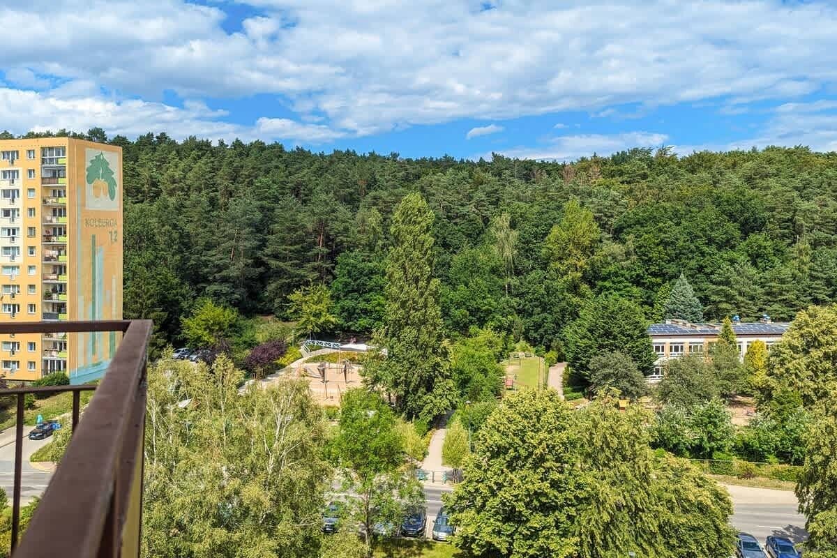 Ein Wohngebiet mit einem mehrstöckigen Gebäude, dicht bewaldetem Hang und wolkenlosem Himmel.