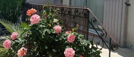 Detalle exterior