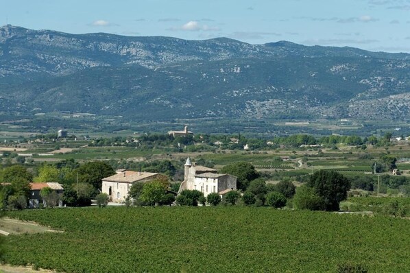 A rural landscape with a vineyard, a church, and a mountain range in the background. - Domaine de Pélican (Gignac)