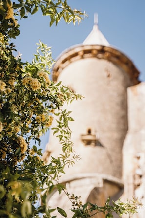 A building with a dome and a tower. - Domaine de Pélican (Gignac)