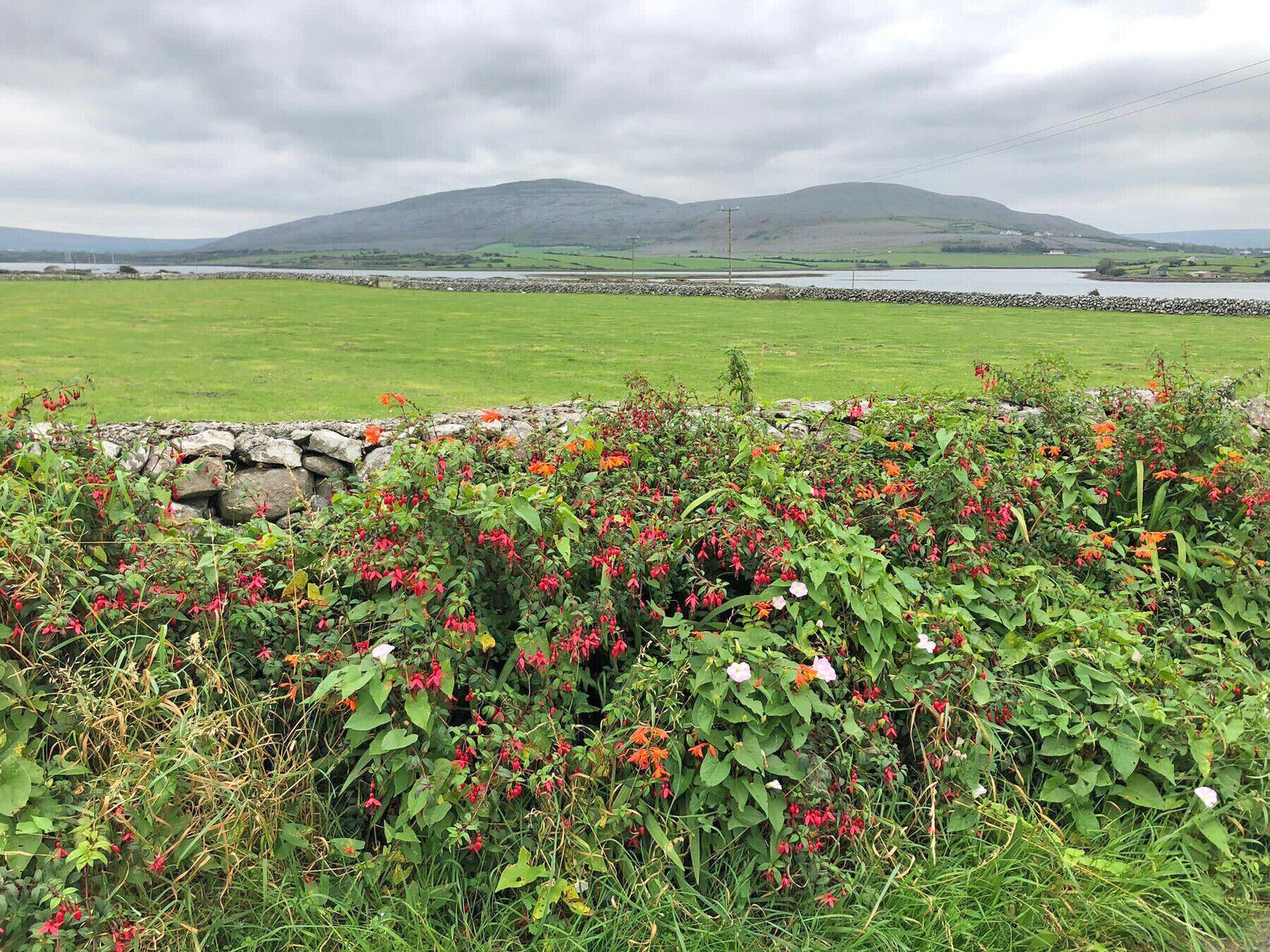 A stone wall with a grassy field and a body of water in the background.