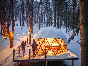 A snow-covered forest with a geodesic dome structure featuring a central fire. - Amanita Dome. All-inclusive food and drinks. (Cambridge)