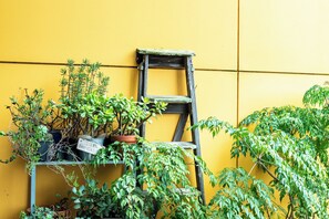 Terrein van de accommodatie