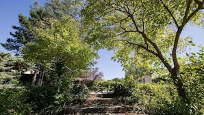 Un sentier qui traverse un jardin planté d’arbres et d’arbustes.