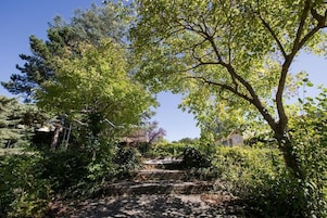 Un sendero que atraviesa un jardín con árboles y arbustos.