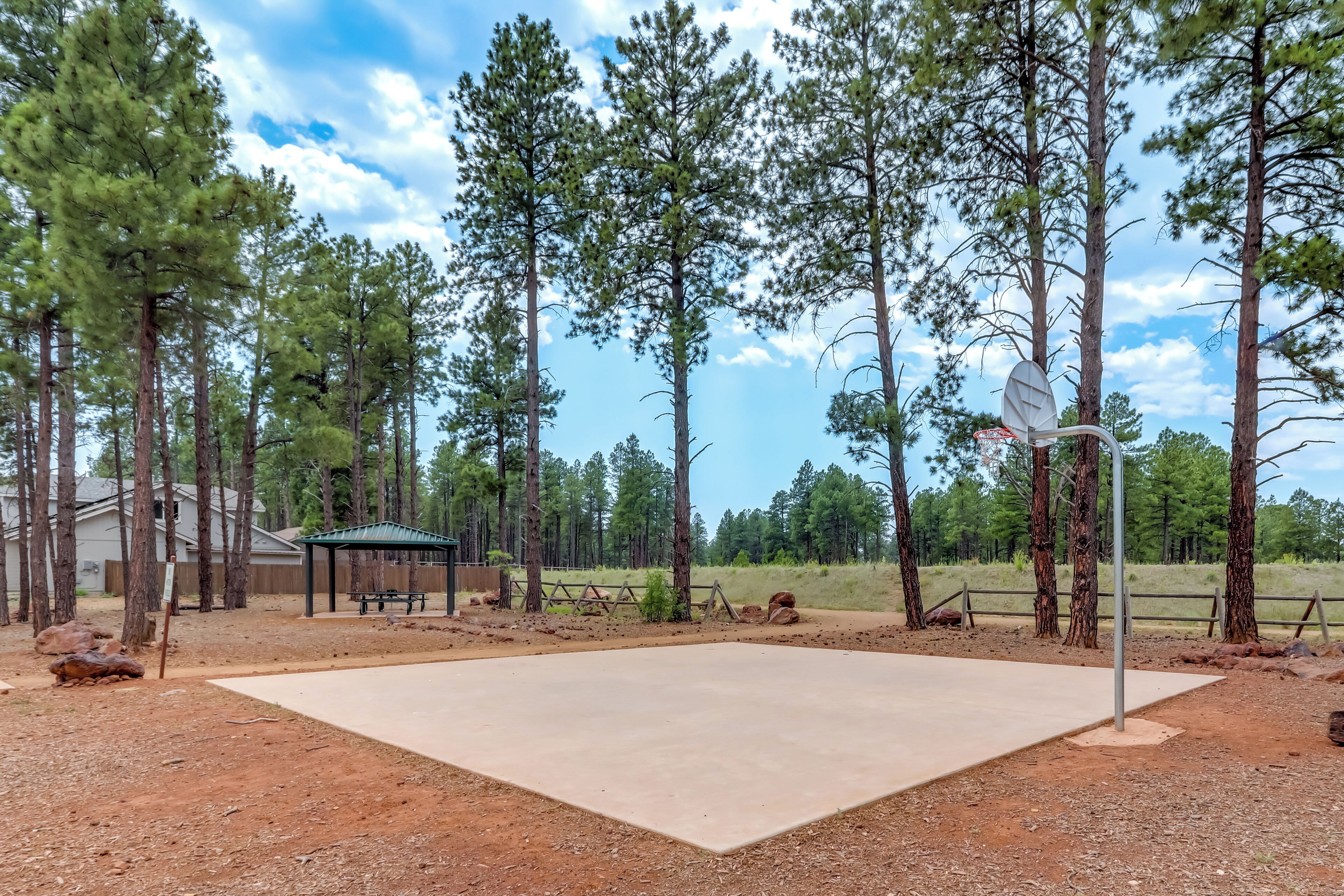 Una cancha de baloncesto de hormigón rodeada de altos pinos, un área de picnic y una zona vallada con un banco de madera.