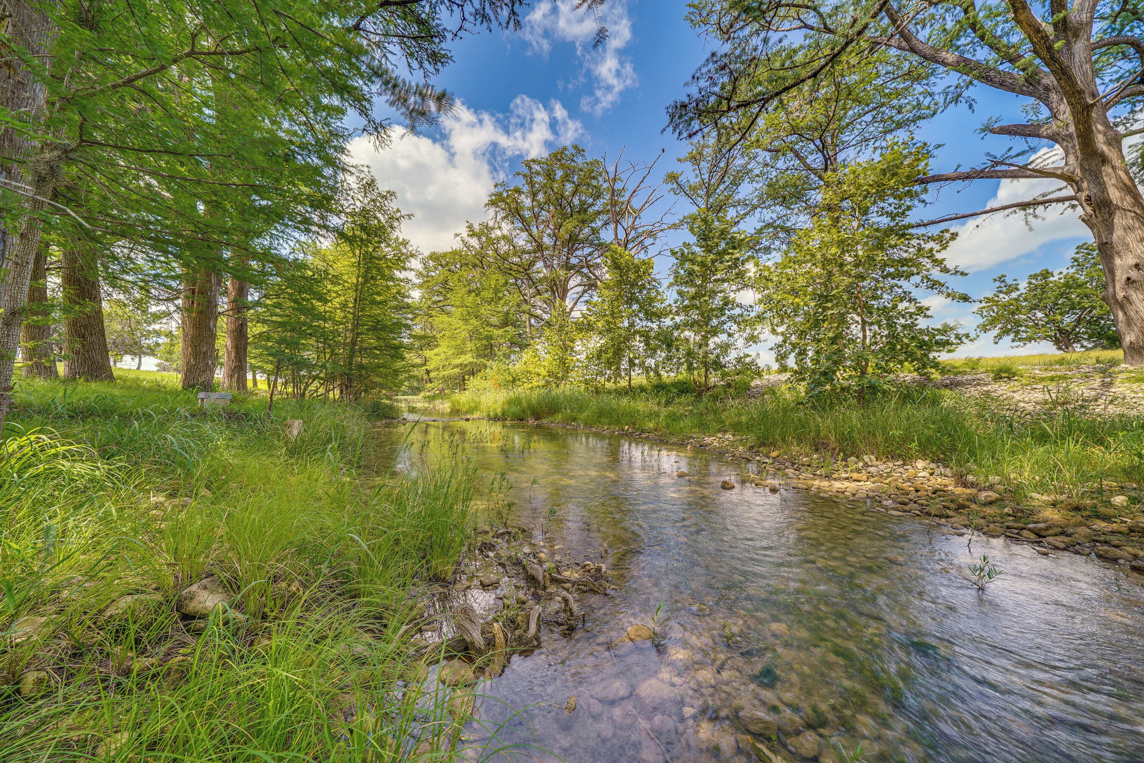 Un paysage naturel avec un ruisseau aux eaux claires, entouré d’arbres et d’herbe.