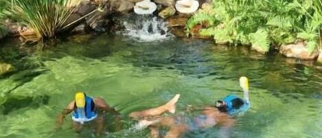 A clear pool with two people swimming, surrounded by lush greenery and a small waterfall.
