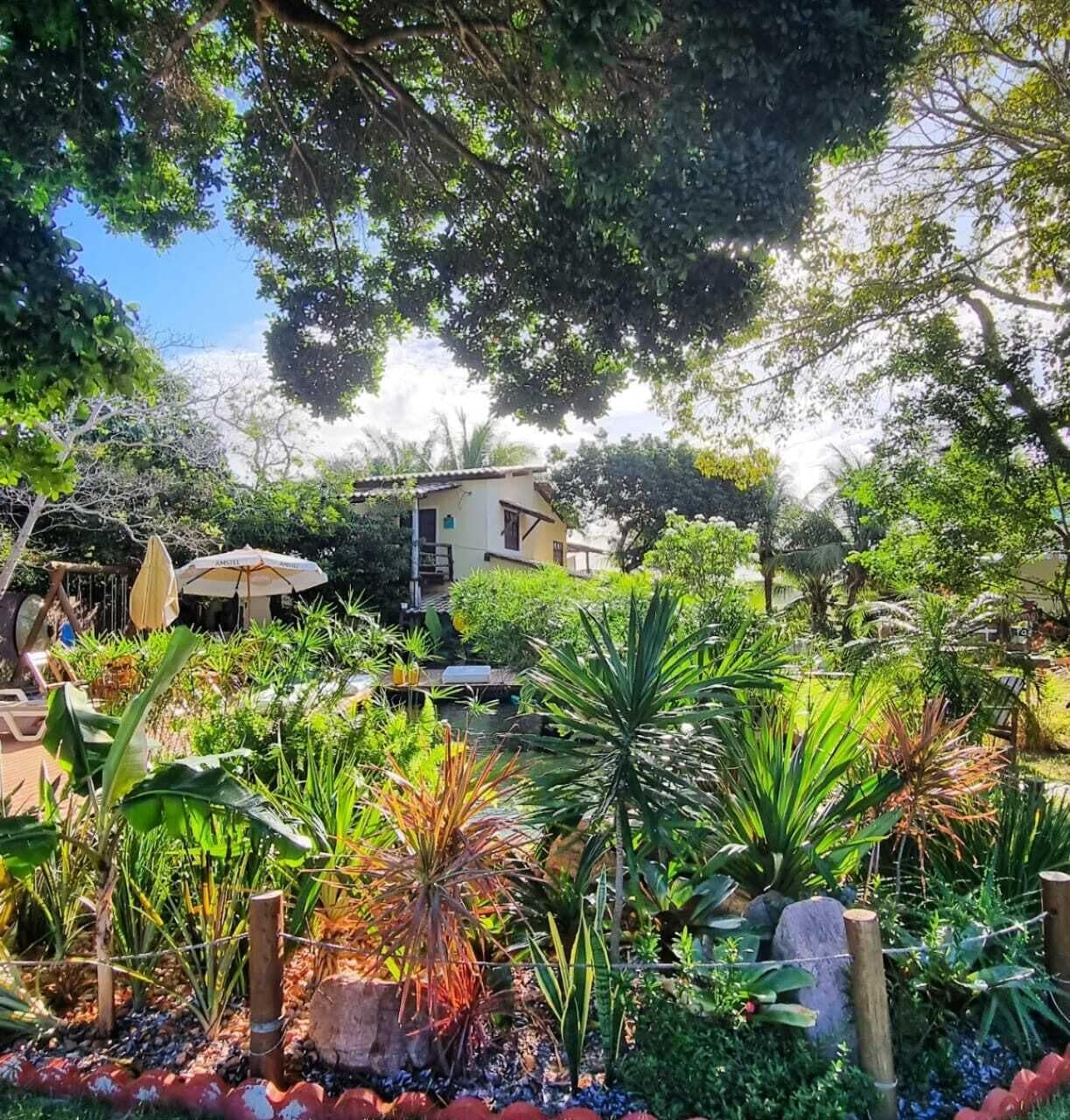 A lush garden with a variety of plants and a small building in the background.