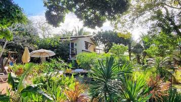 A lush garden with a variety of plants and a small building in the background.