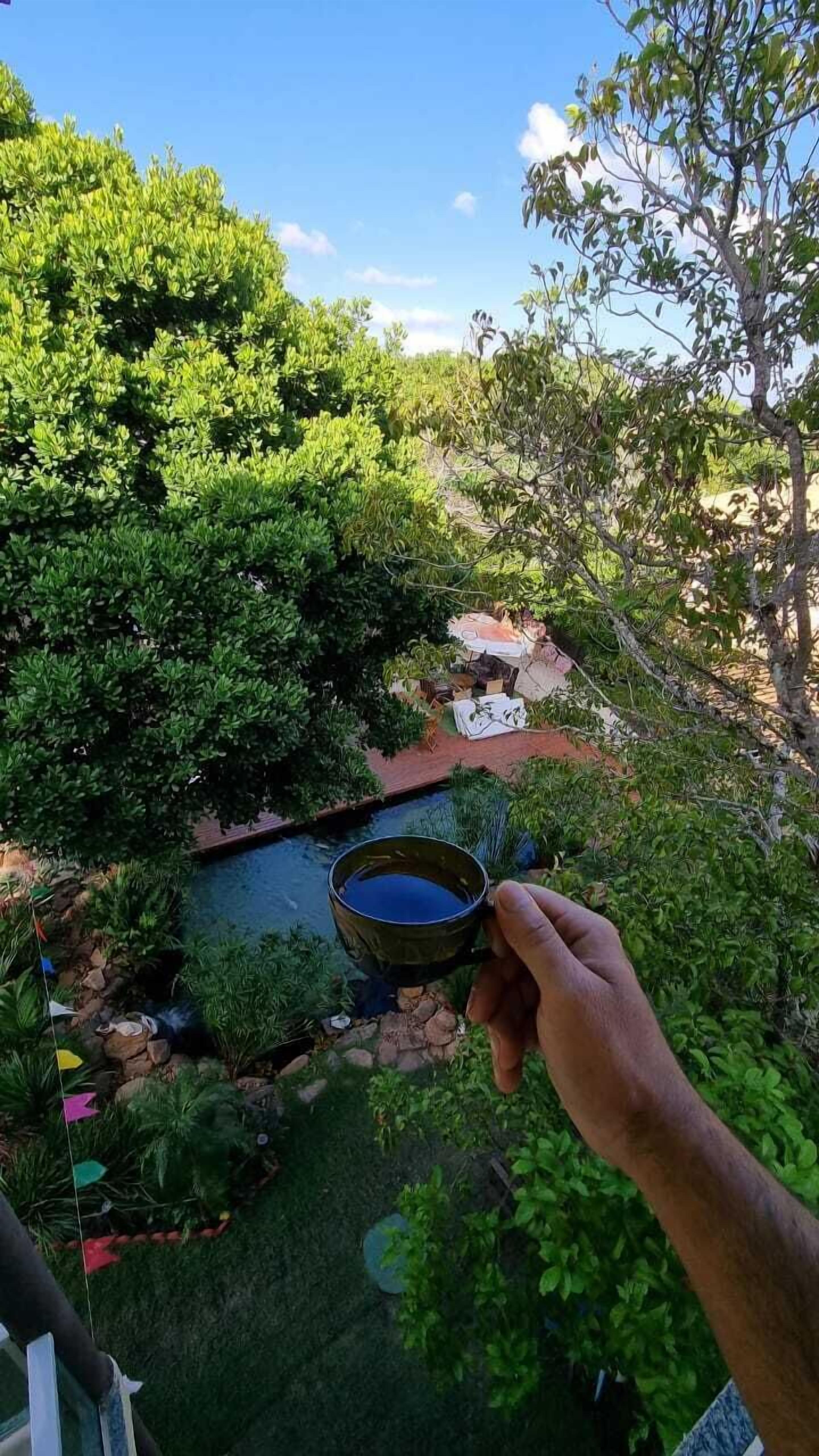 Una mano sostiene una maceta pequeña sobre un jardín con un estanque y diversas plantas.