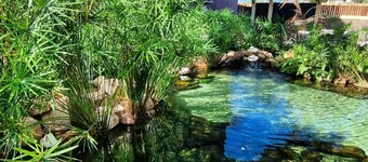 Pousada Pedra da Lagoa Itacimirim