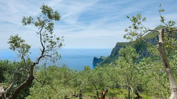 Villa | 2 bedrooms, Internet