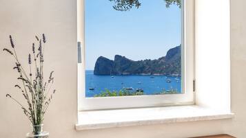 别墅 | 4 多间卧室、高速上网