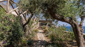 Um caminho de pedra serpenteia por um jardim com oliveiras e vista para o mar.