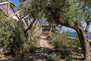 Um caminho de pedra serpenteia por um jardim com oliveiras e vista para o mar.