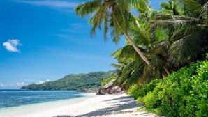 Ein Strand mit klarem türkisblauem Wasser, weißem Sand und üppiger, grüner Vegetation, darunter Palmen.