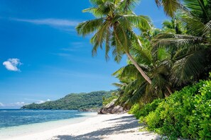Am Strand