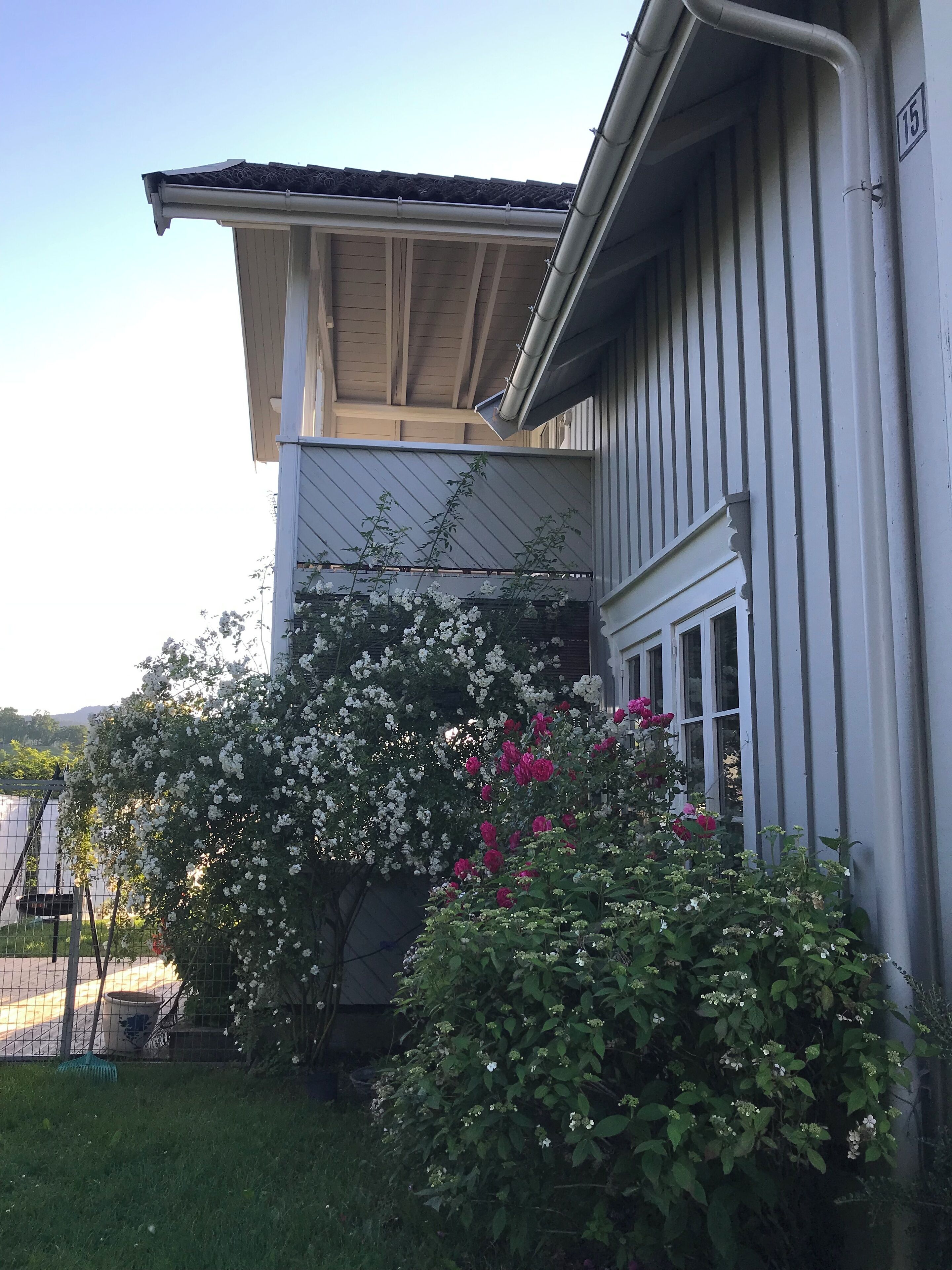 Àrea exterior de l'allotjament