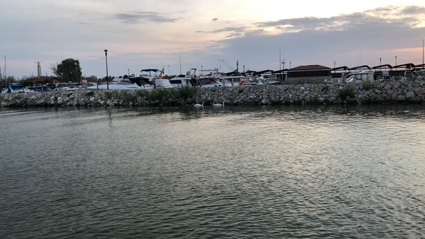 A marina with boats docked, a stone wall, and a calm water surface.