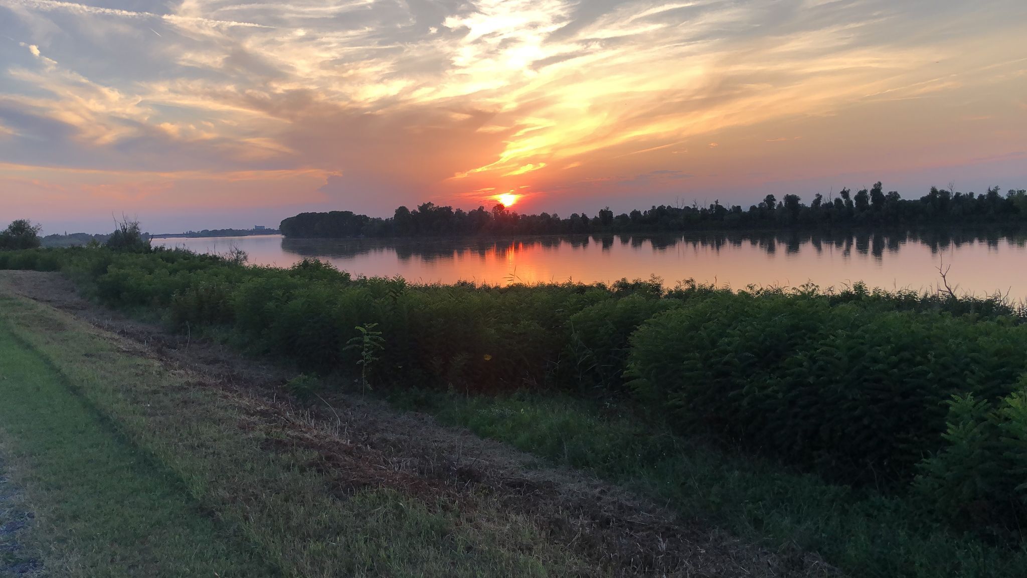 Una vista serena de un lago al atardecer, con aguas tranquilas y abundante vegetación.