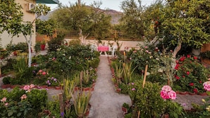 A garden with a central path surrounded by various plants and flowers. - Summer Rose Garden Getaway - A Step to the Beach (Kalamata)