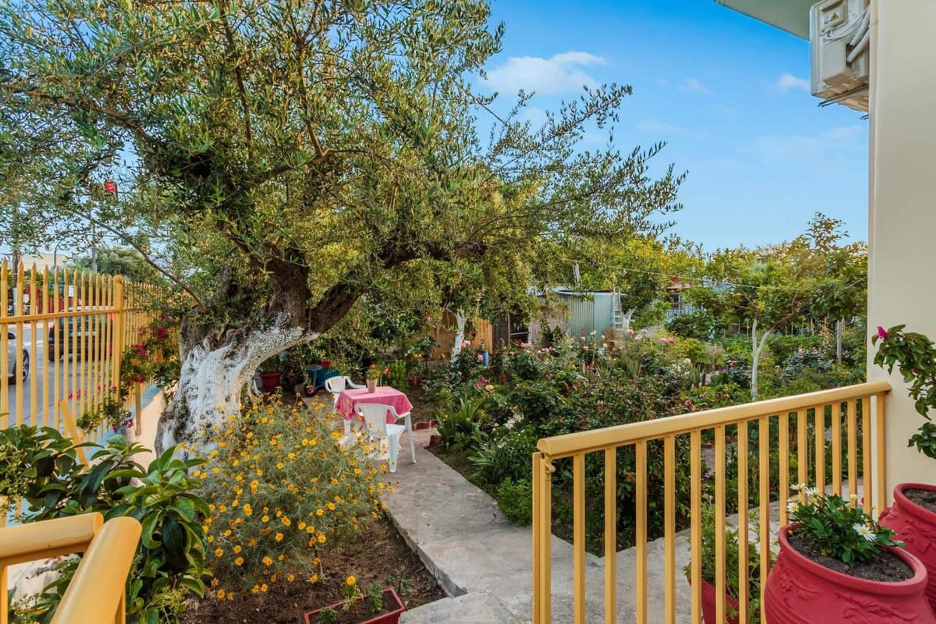 A courtyard with a large tree, potted plants, and a table with chairs.
