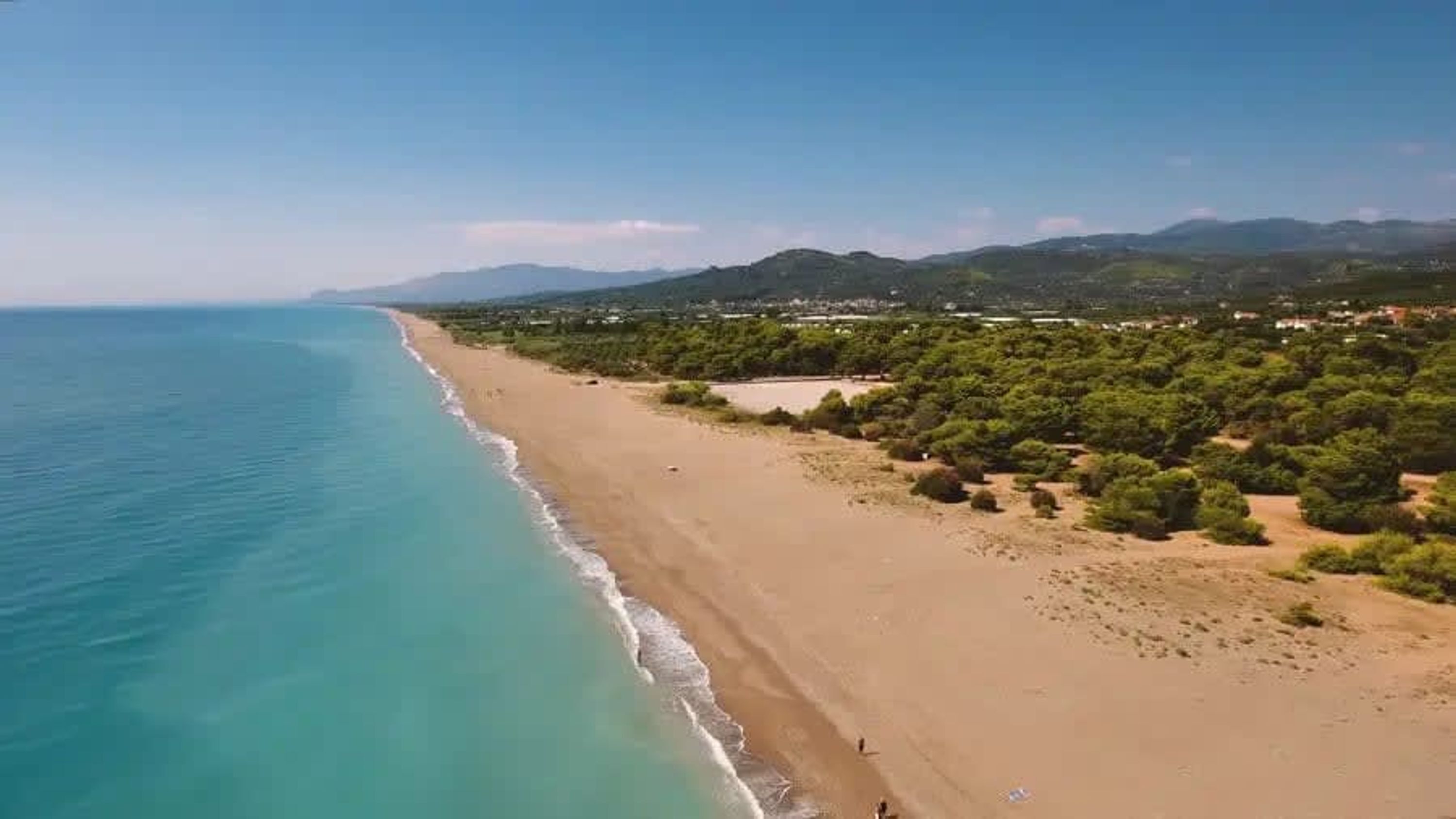 Ein Küstenstrand mit freiem Blick auf das Meer und einer Baumreihe.