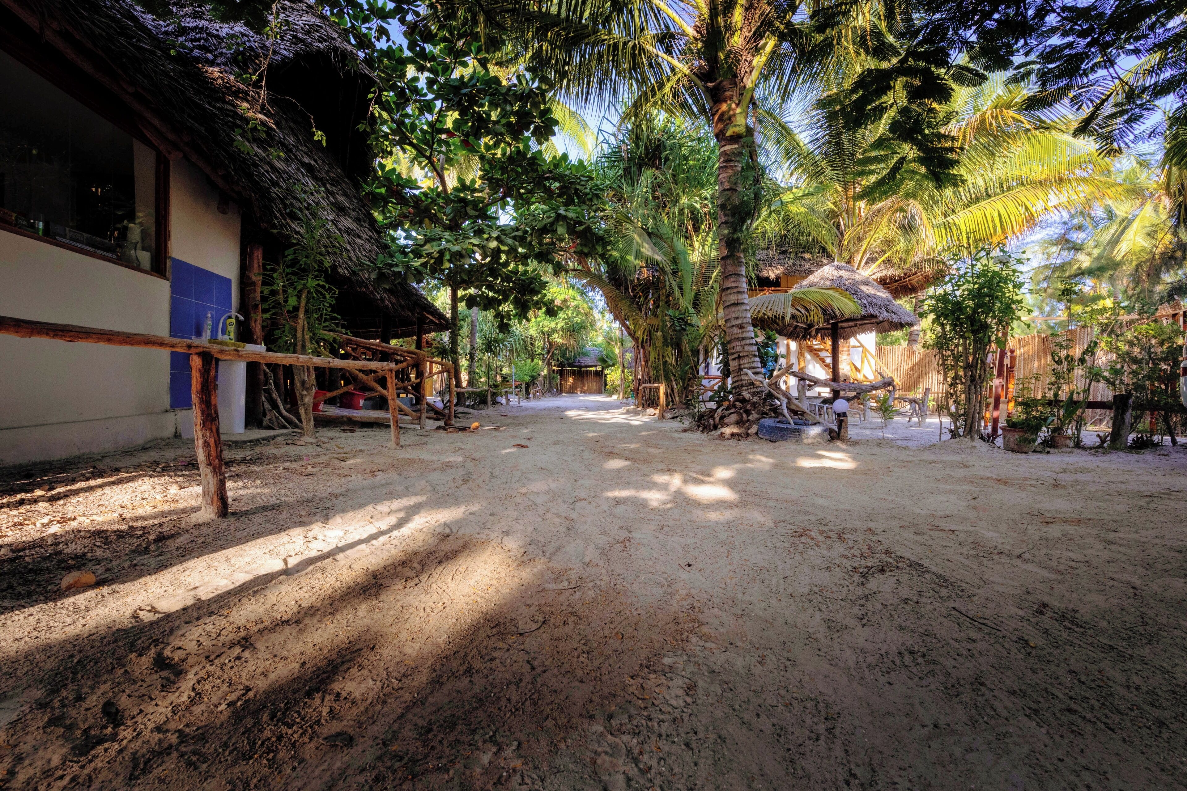 Foto - Eden Paradise