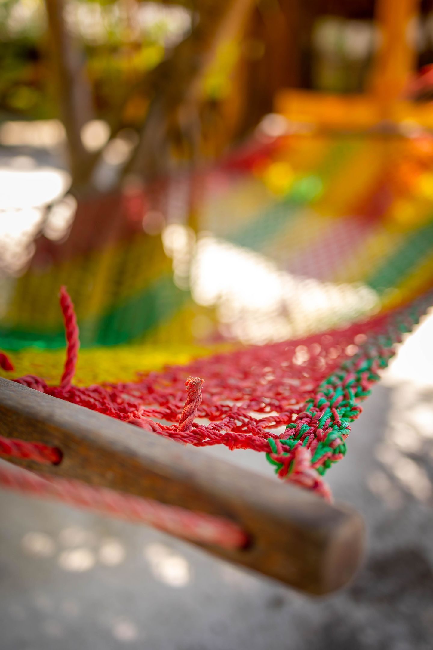 Foto - Eden Paradise