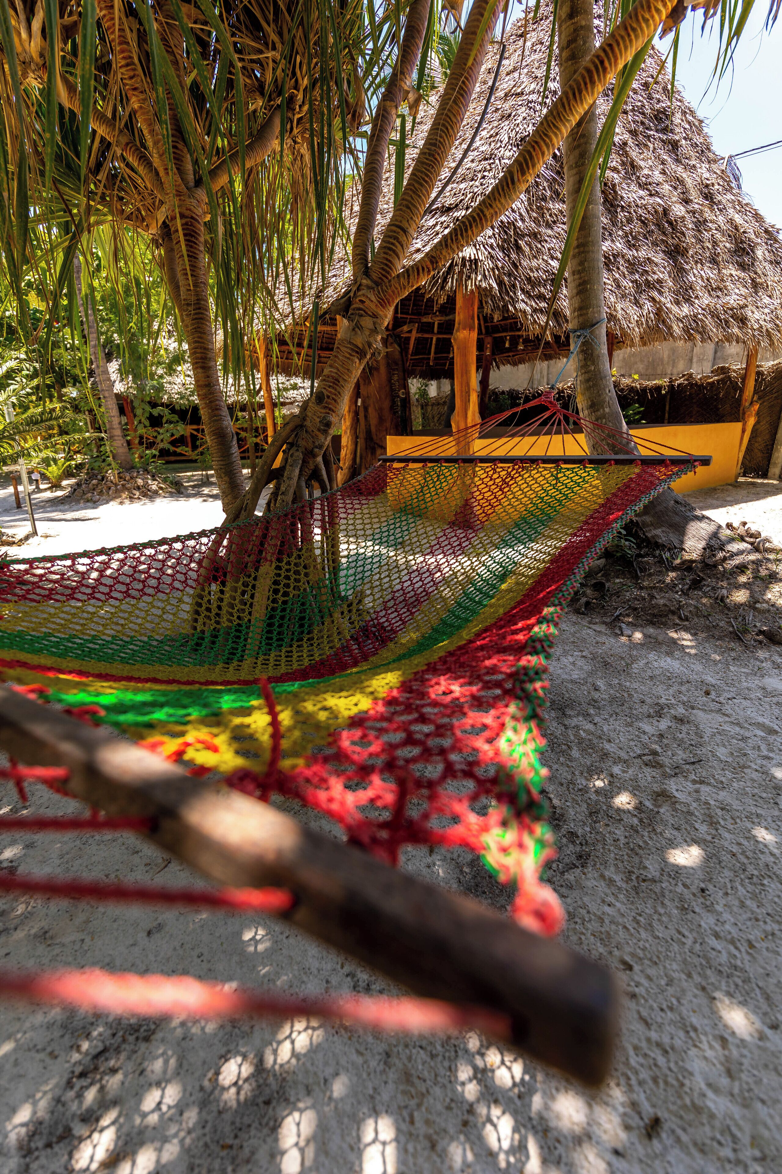 Foto - Eden Paradise