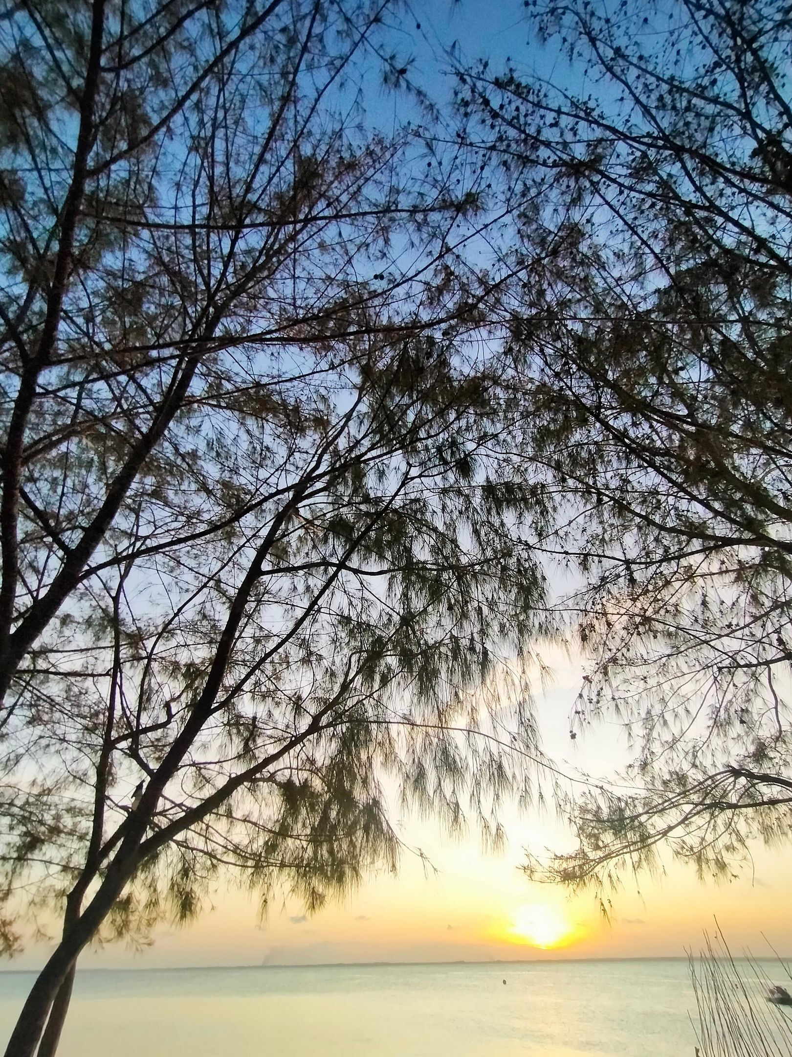 Photo - Eden Paradise