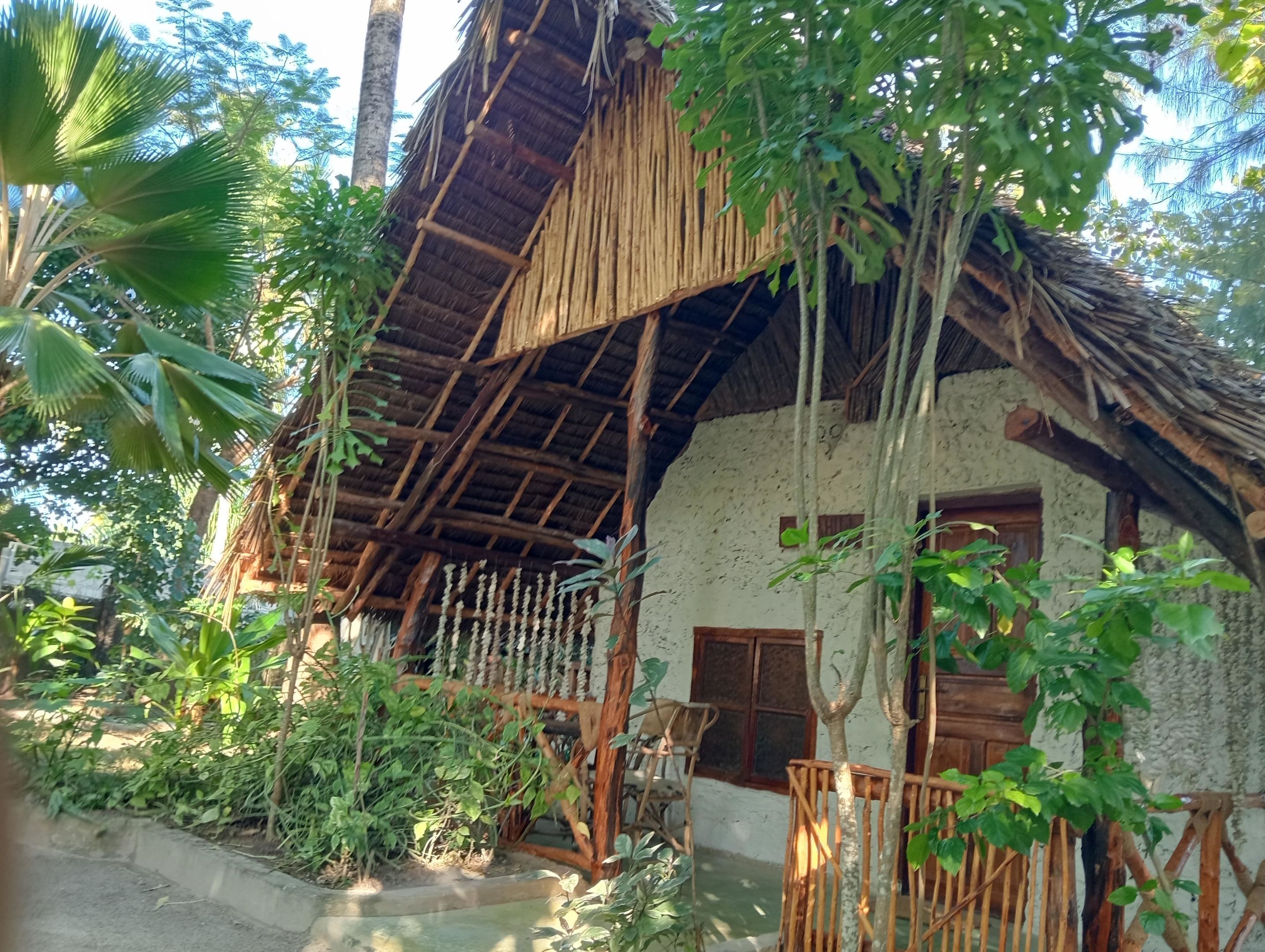 Foto - Eden Paradise