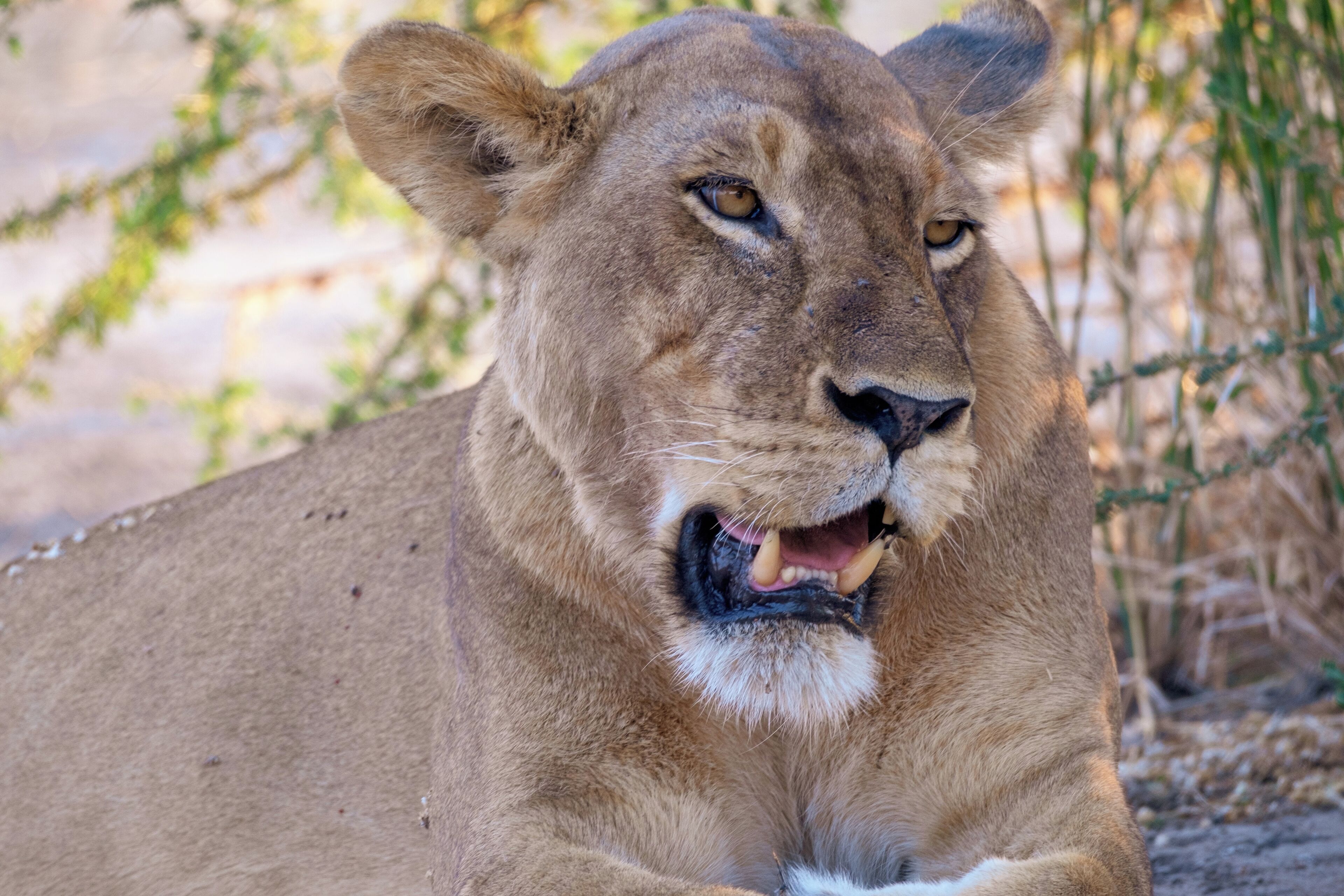 Foto - Eden Paradise