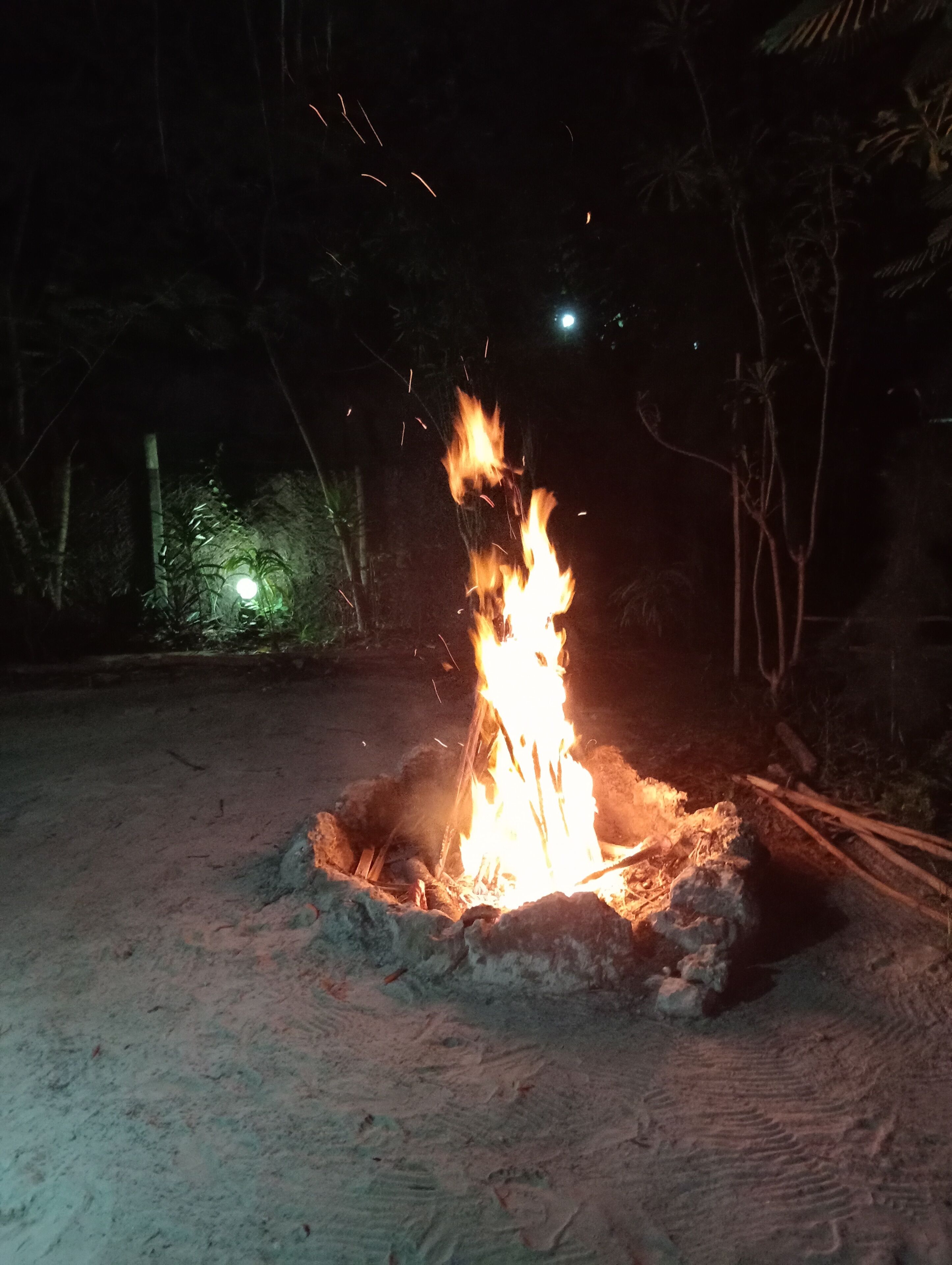 Foto - Eden Paradise