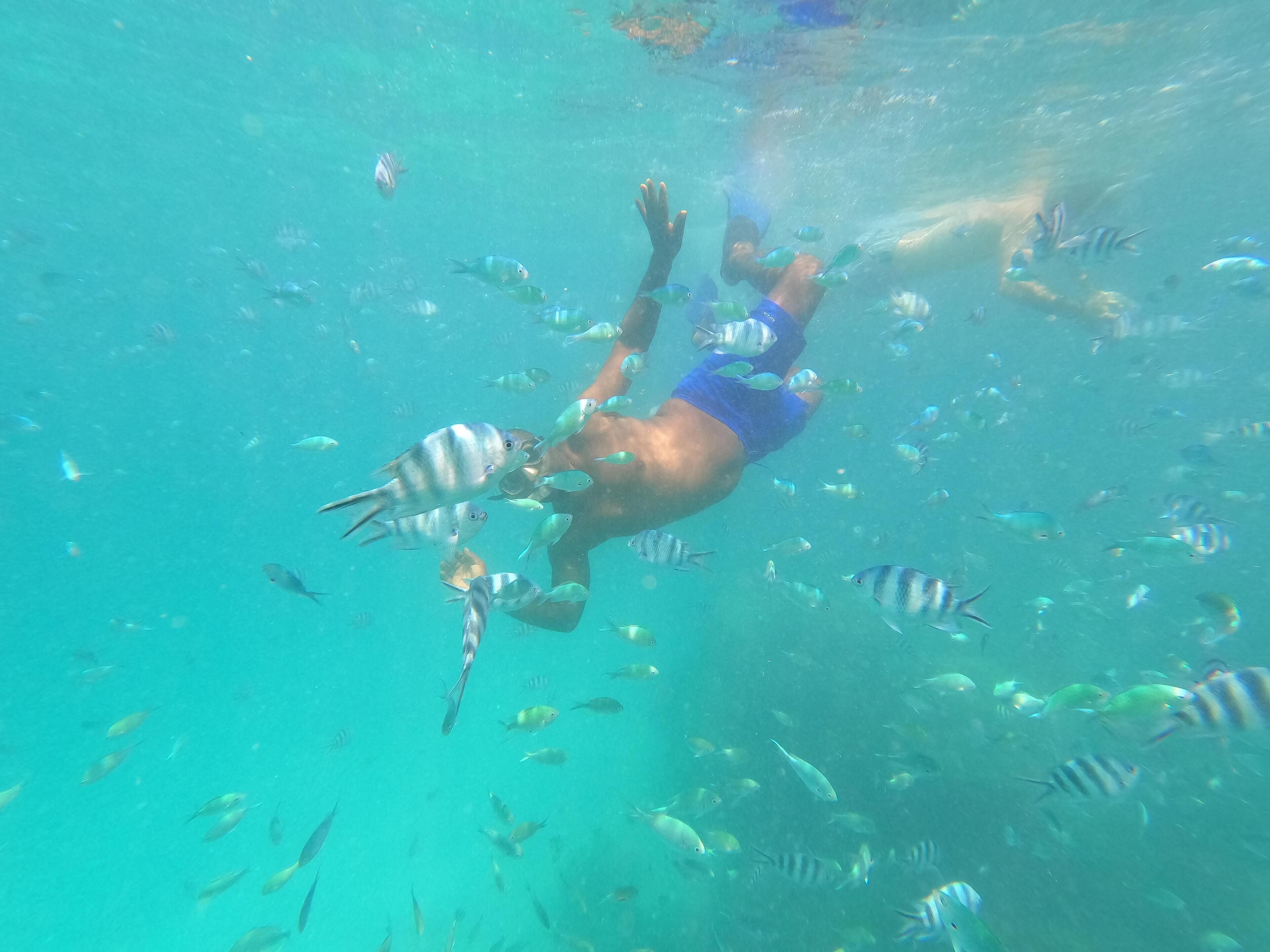 Foto - Eden Paradise