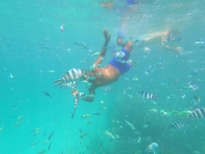 A person swimming with fish in clear water.