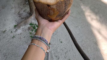 花園