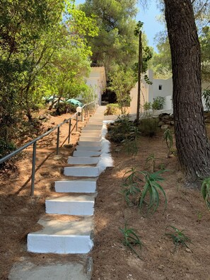 Área da propriedade