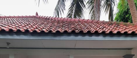 Standard Room, Park View