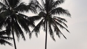 A pool with clear reflections of palm trees and two gazebos. - Resort Prima Anyer (Cinangka)